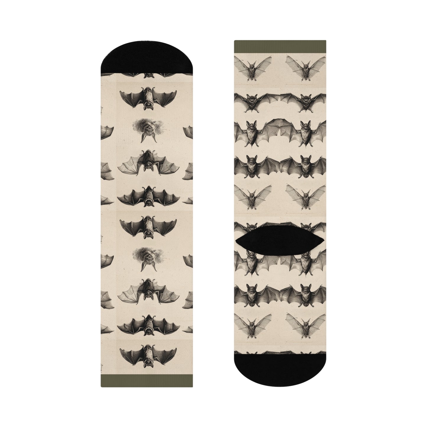 Bat (Chiroptera) Scientific Illustration Crew Socks