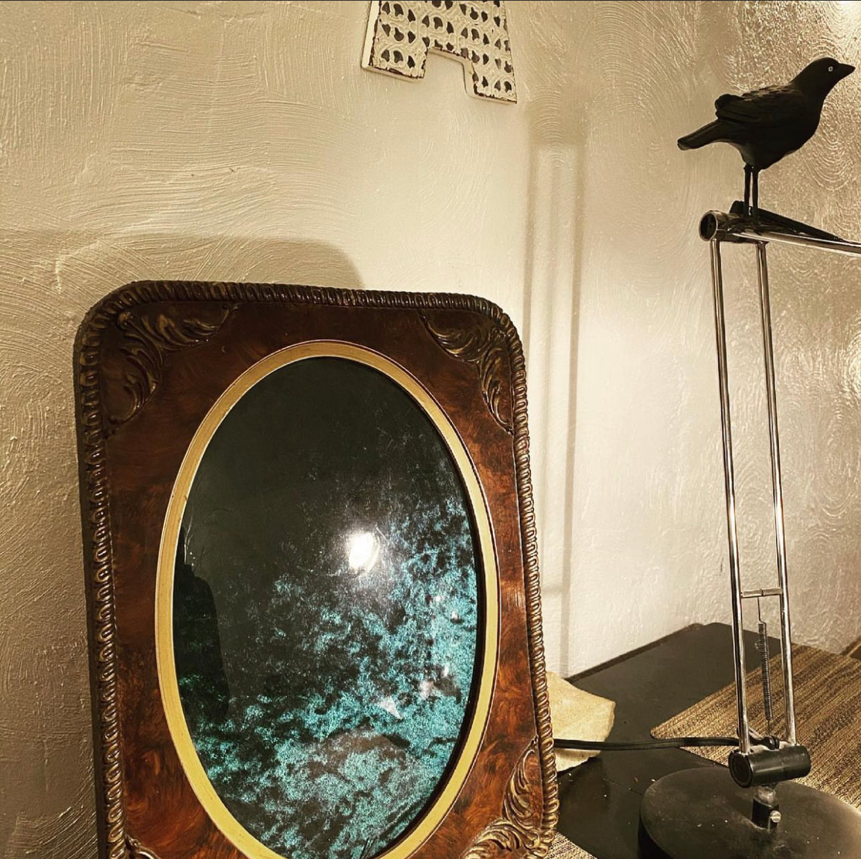 SOLD***** Cicada on Velvet in Vintage Convex Glass Frame