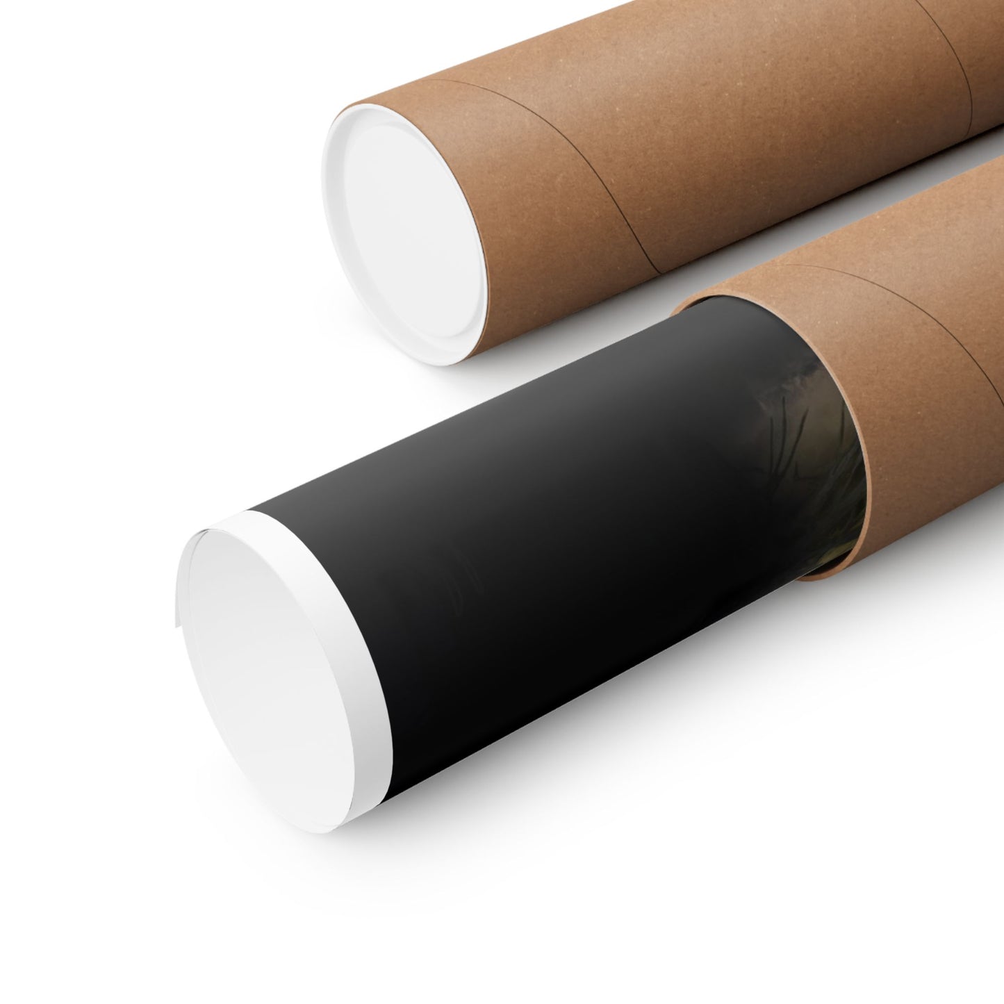 Night Pond (Premium Matte Fine Art Poster)