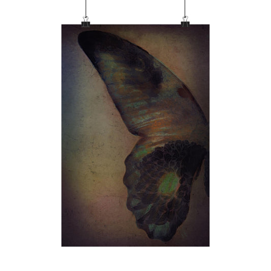 Paper Wings by J.J. Liles (Premium Matte Fine Art Poster)