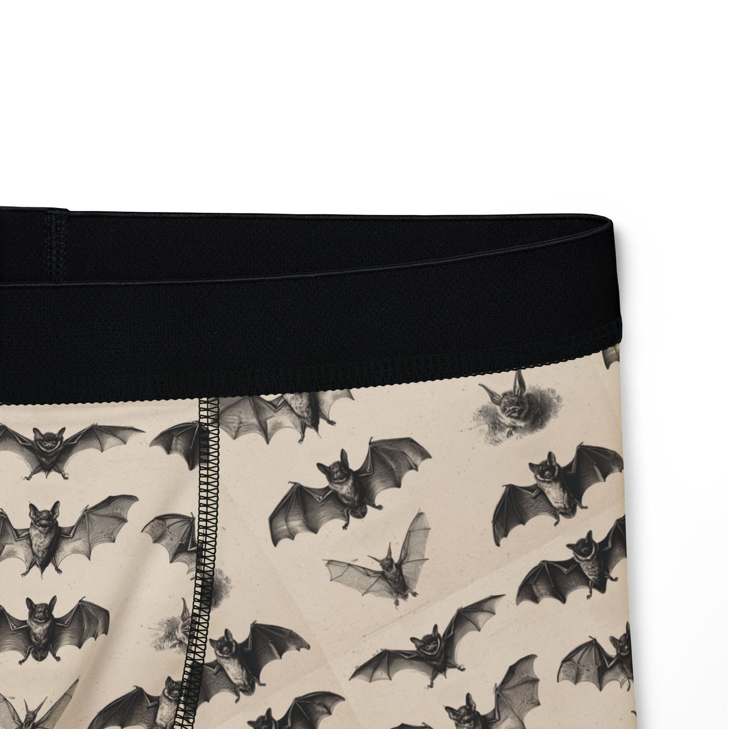 Vintage Bat Species Print Men's Boxer Briefs