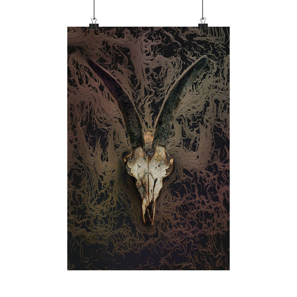 Pattern in the Chaos by J.J. Liles (Premium Matte Fine Art Poster)