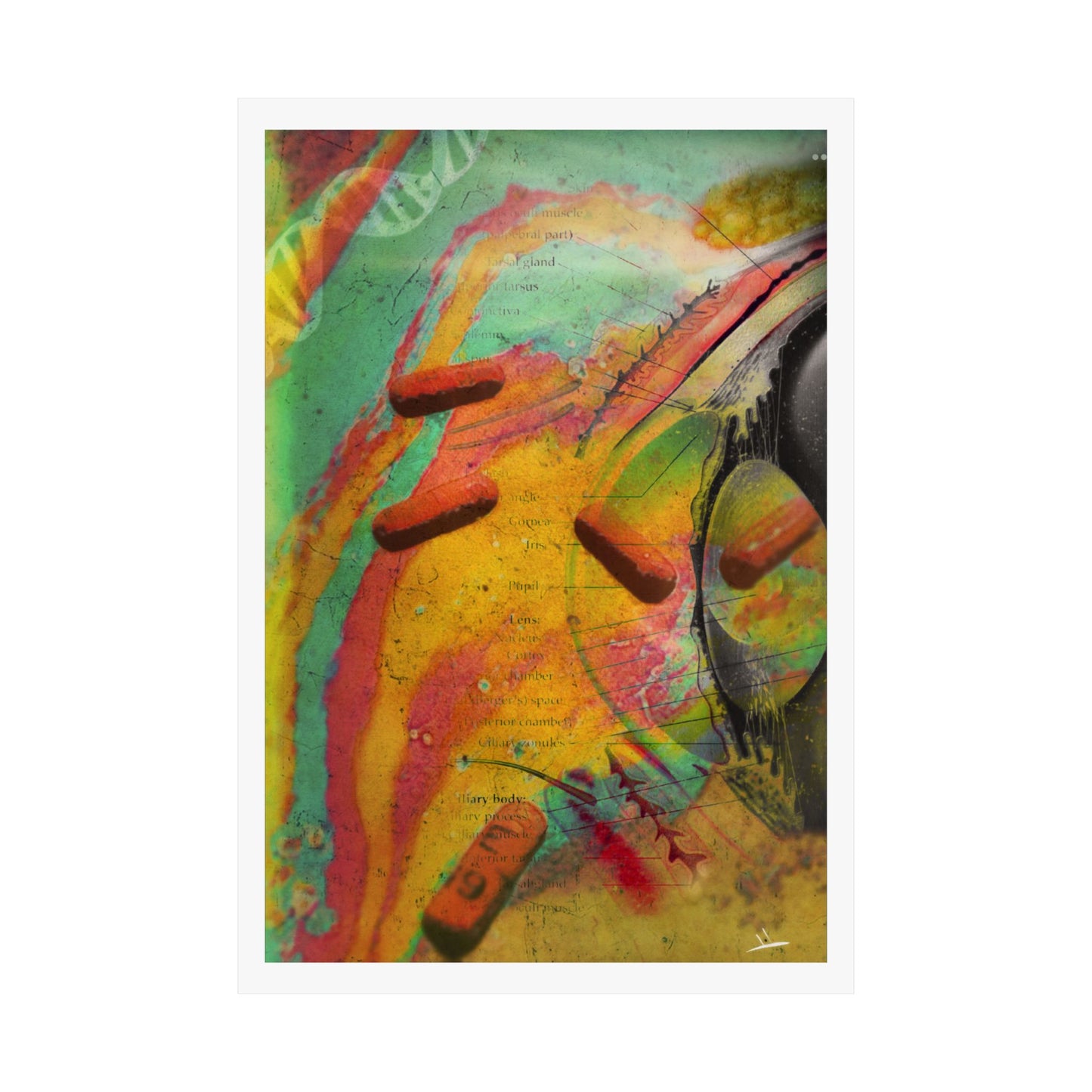 Mental Health (Premium Matte Fine Art Poster)