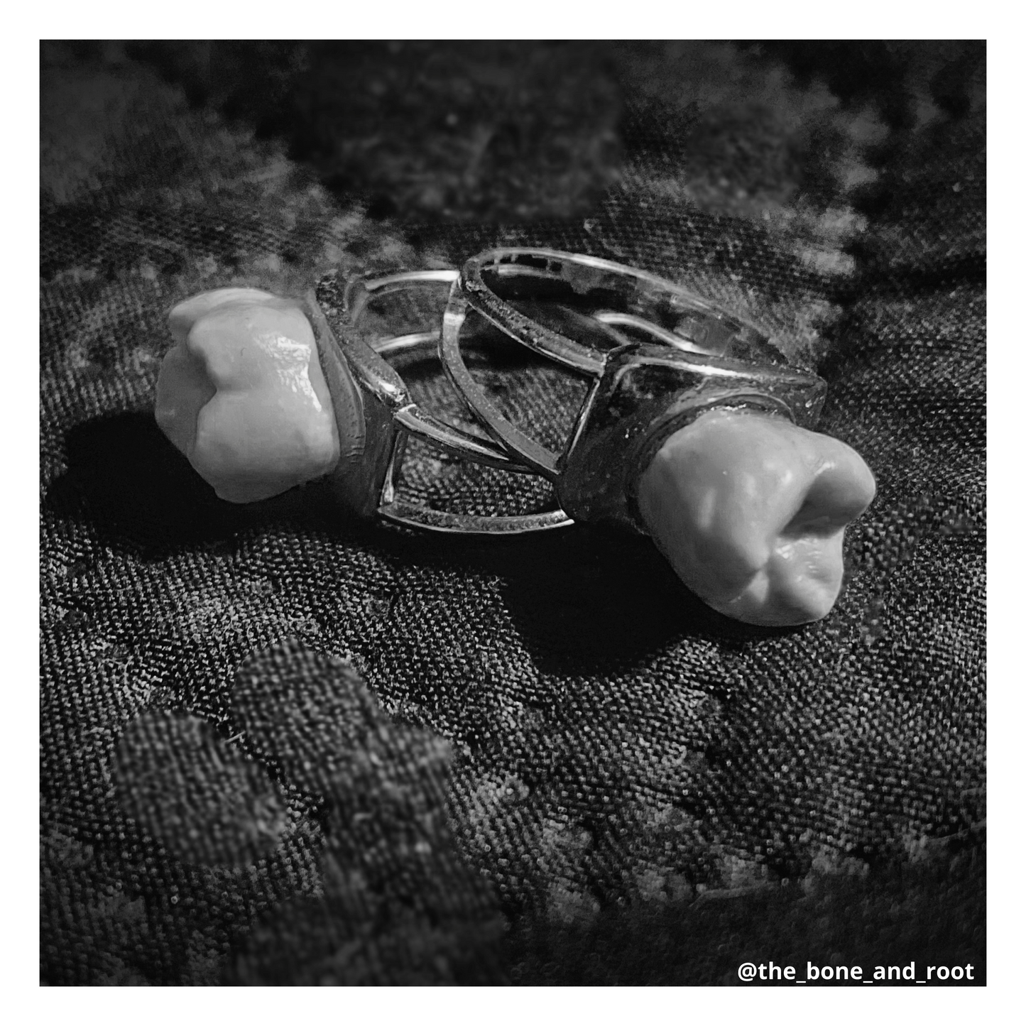 Authentic Human Teeth Sterling Silver Ring