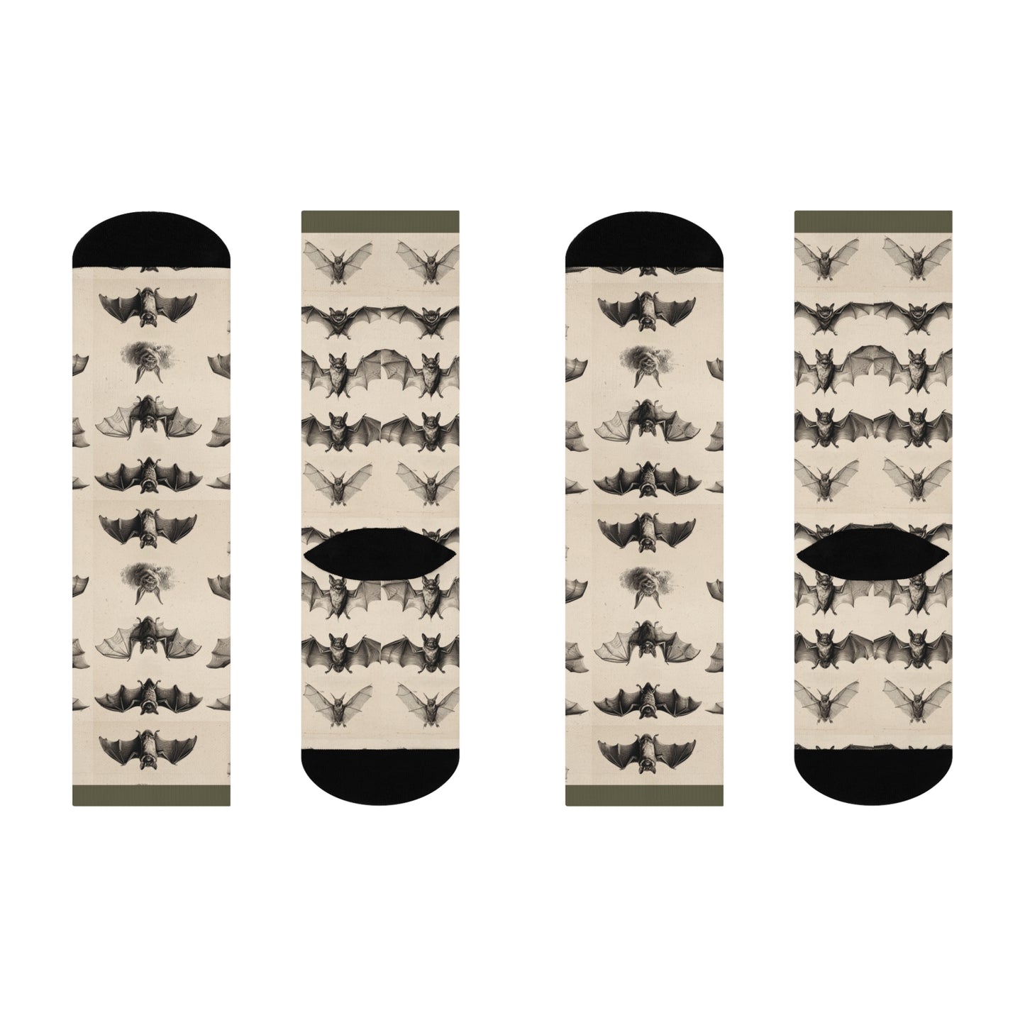 Bat (Chiroptera) Scientific Illustration Crew Socks