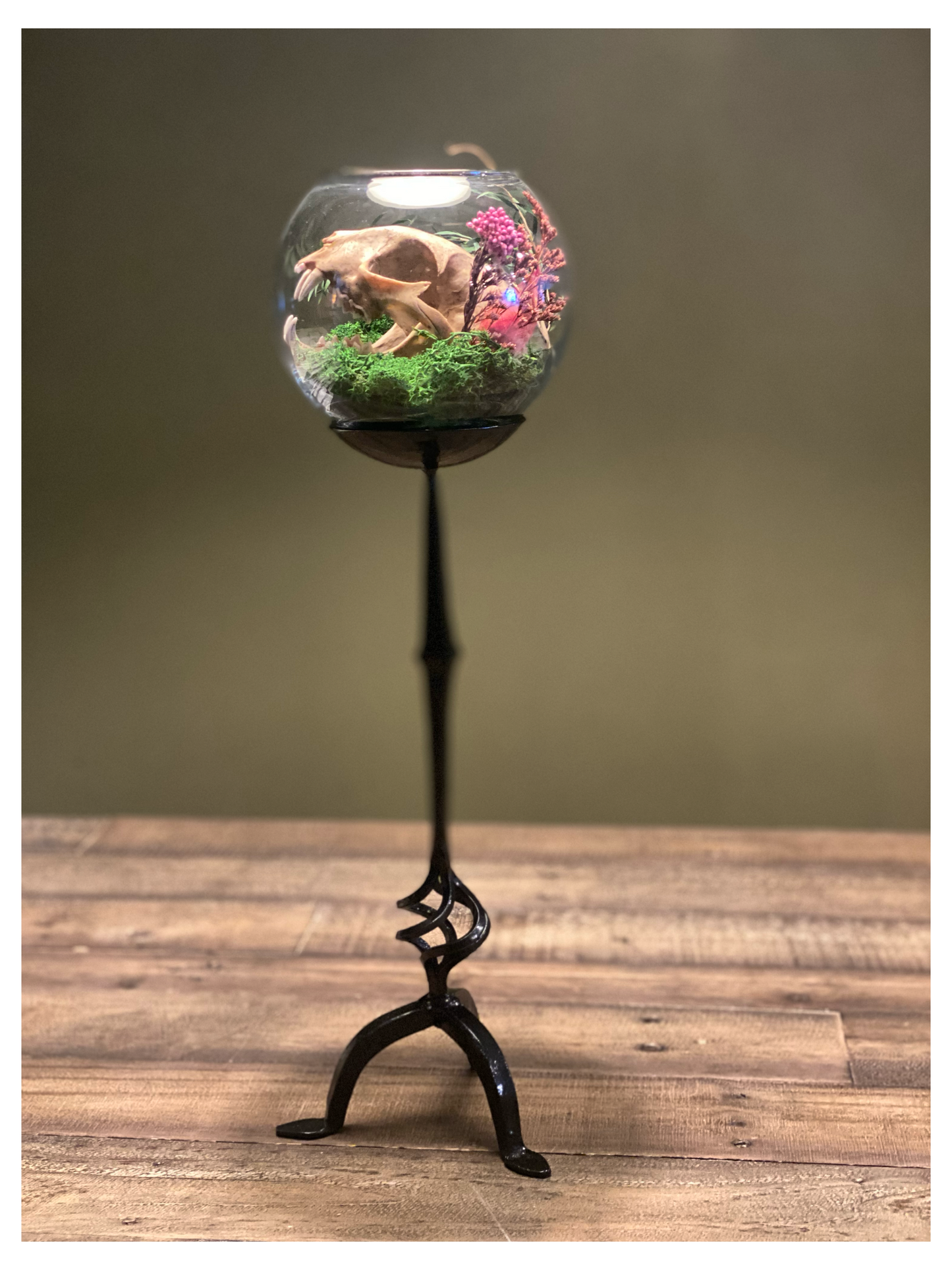 Bobcat Still Life Terrarium