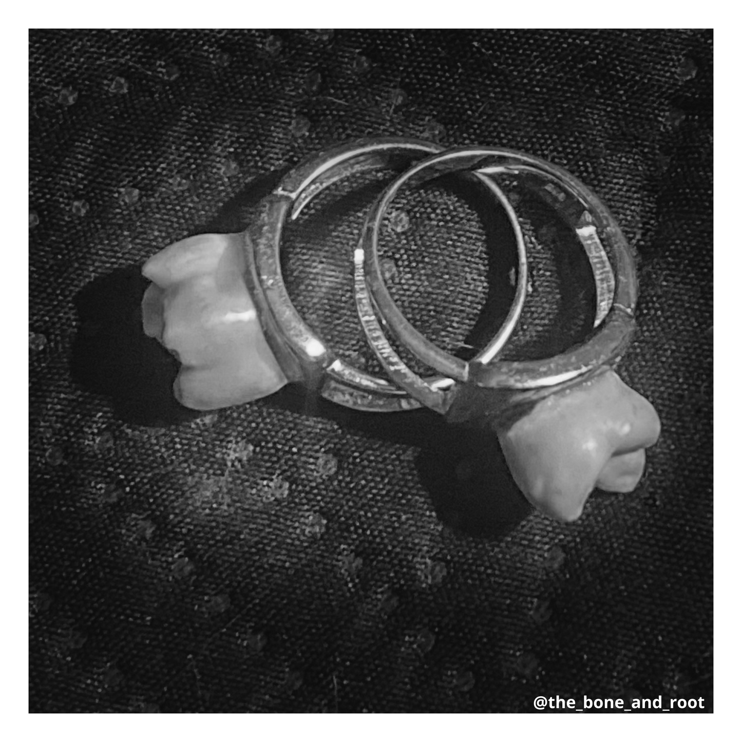 Authentic Human Teeth Sterling Silver Ring