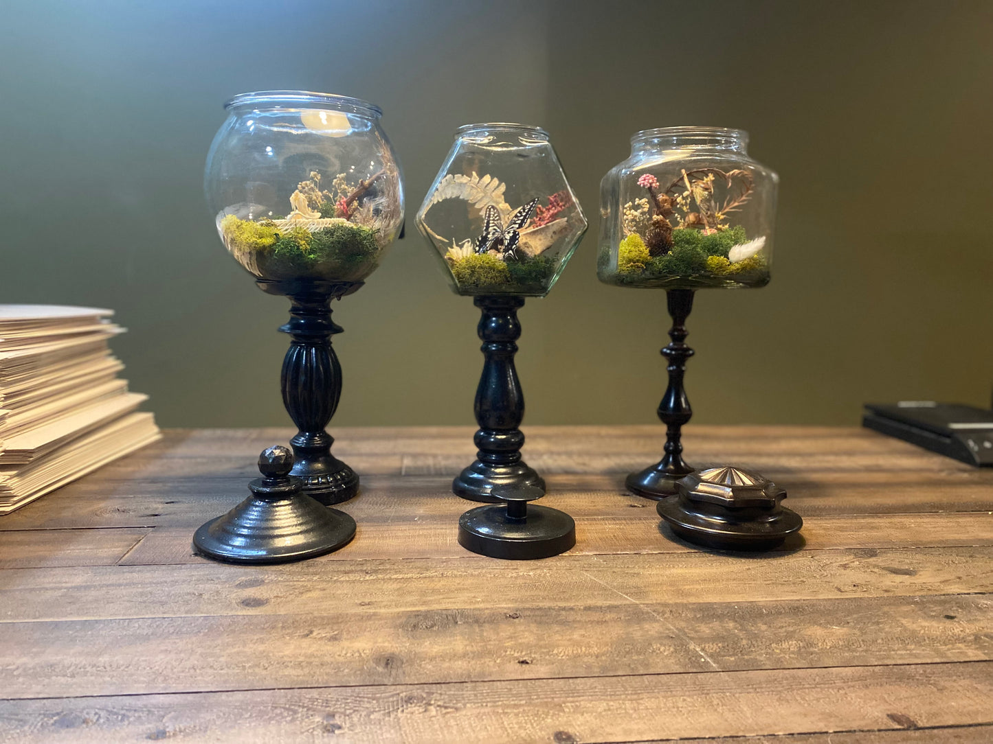 Still Life Terrarium — Cicada