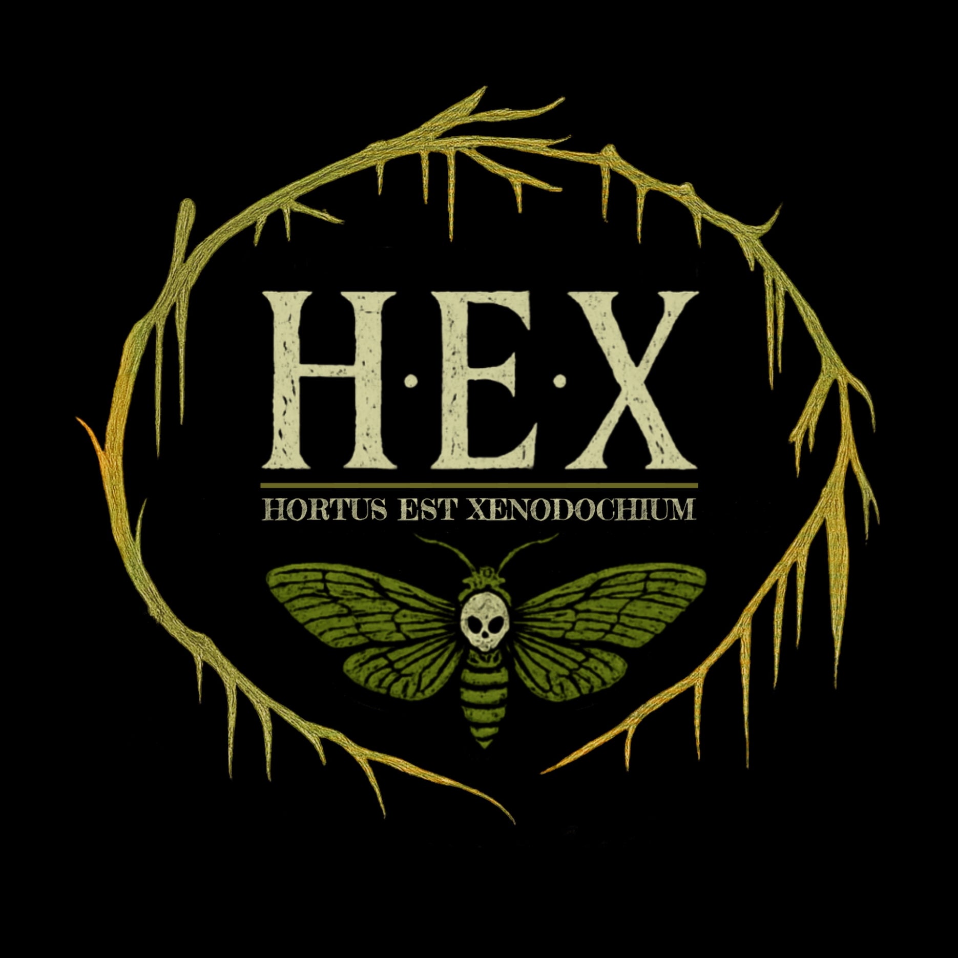H.E.X.